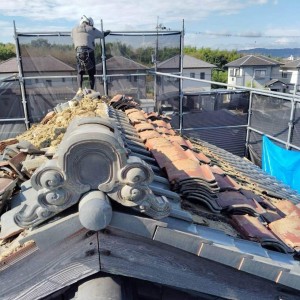 A98FF233-48A8-40DA-AF9C-527394D45A6A